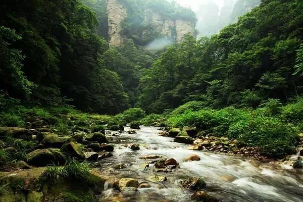 快刺水果